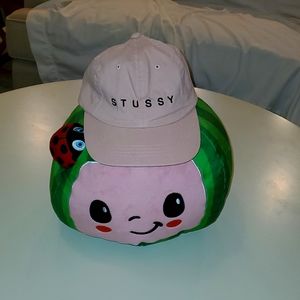 Stussy Strapback Baseball Hat (Pink)